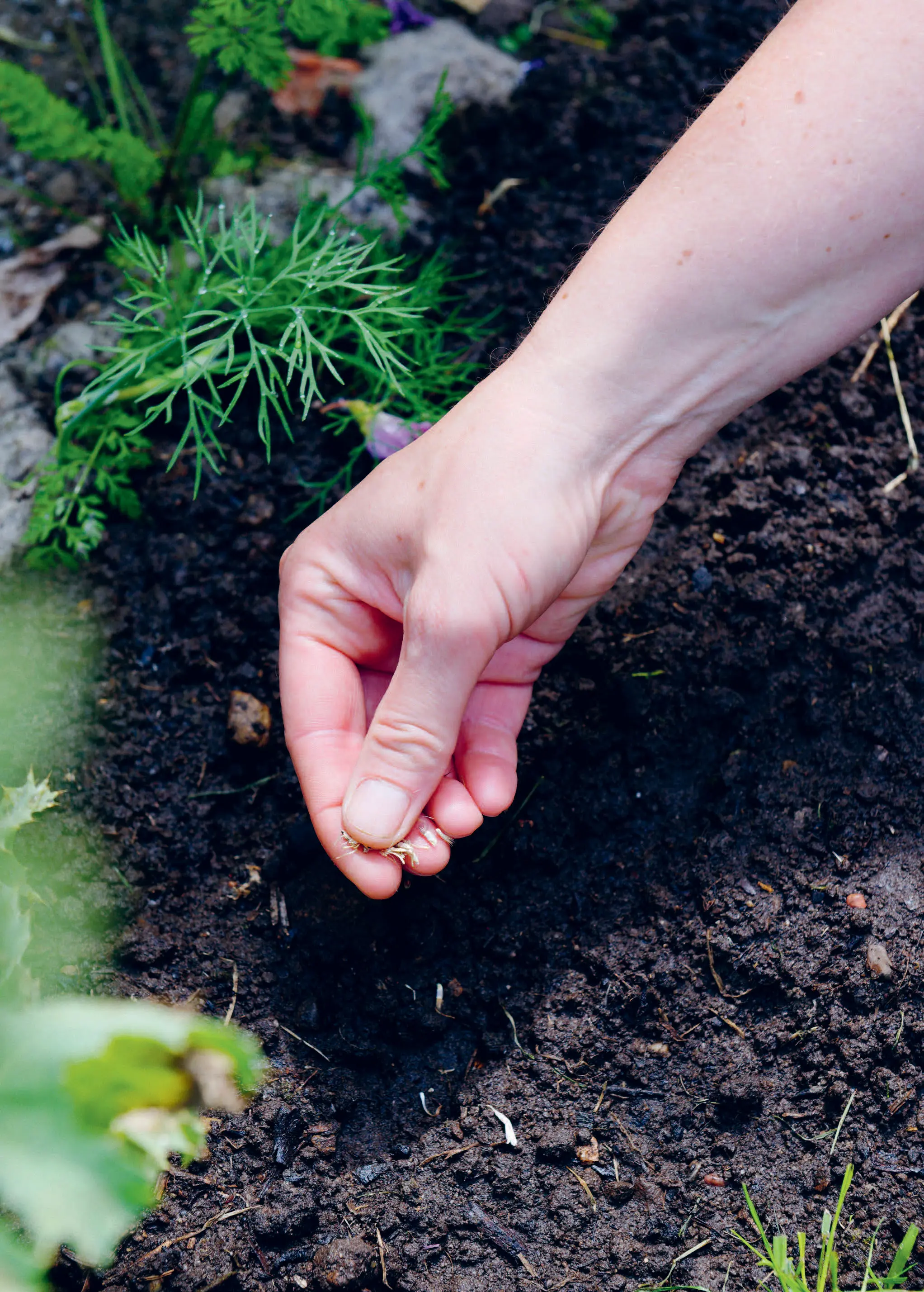 064_Mller-Navarra_Bltenreich_9783258084459(c)Merle Weidemann_RGB