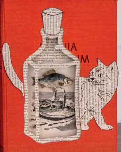 Buchkatze