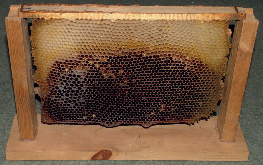 054_Heaf_Warr_(c)David-Heaf_rgb