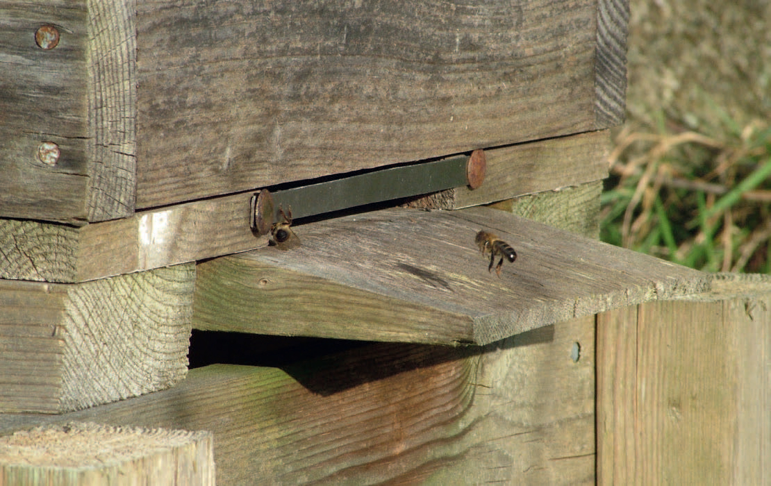 126_Heaf_Warr_(c)David-Heaf_rgb