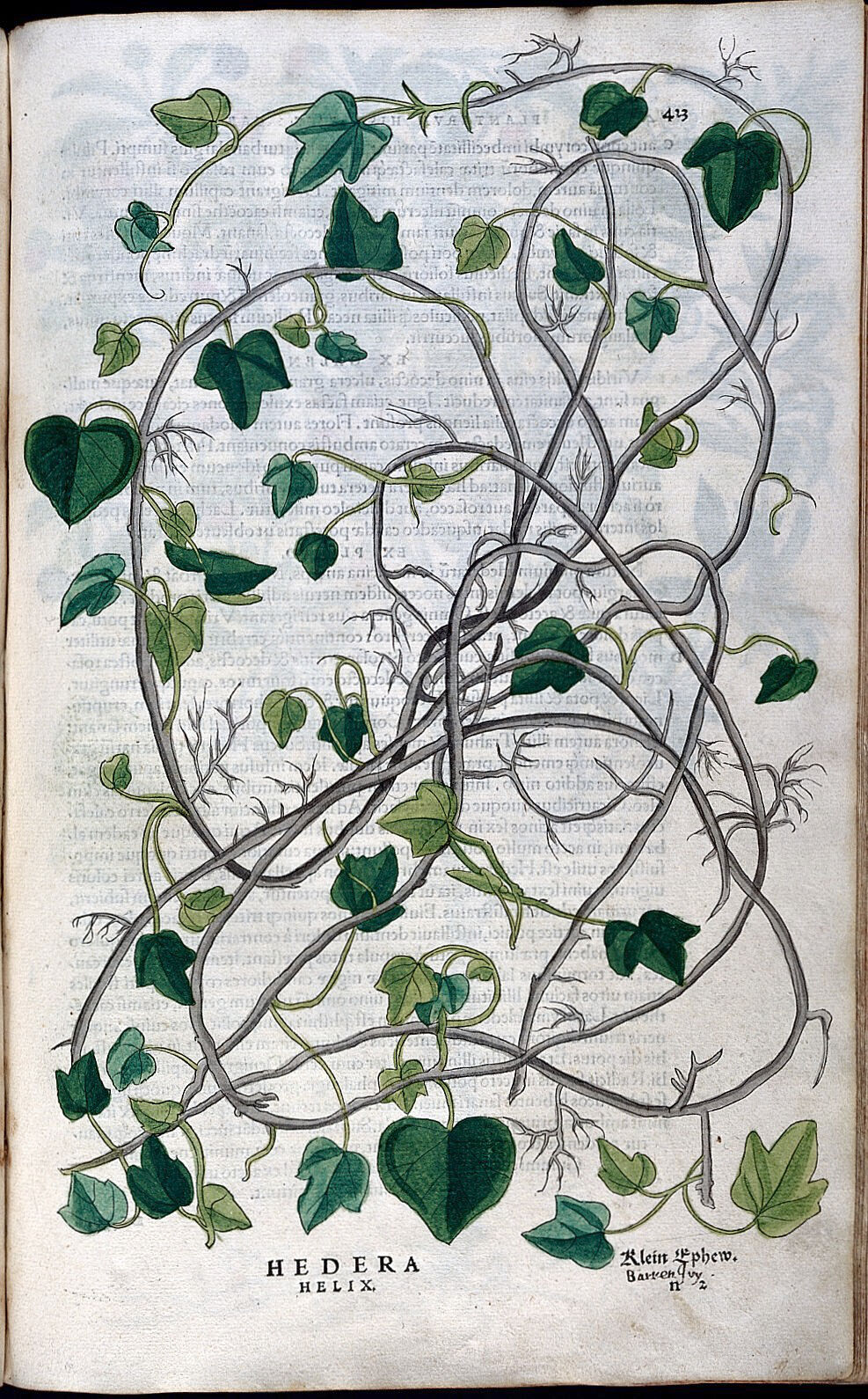 «Die Geschichte der Botanik in 300 Büchern» auf www.geo.de