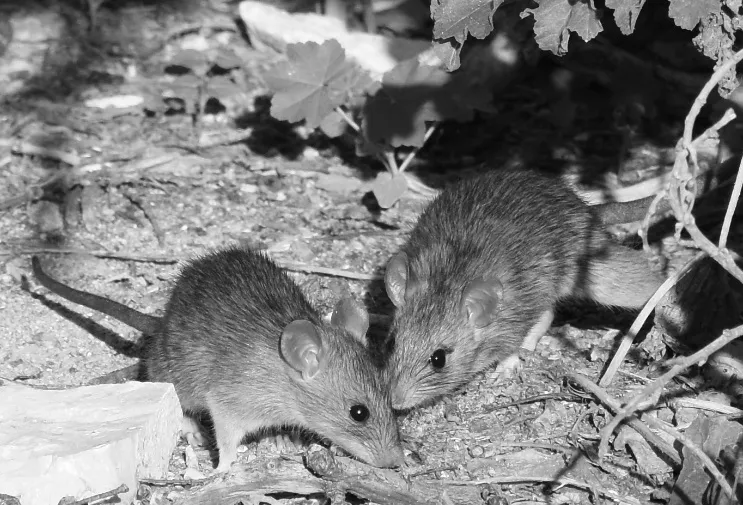 9783258083155(c)Fiona Hofer