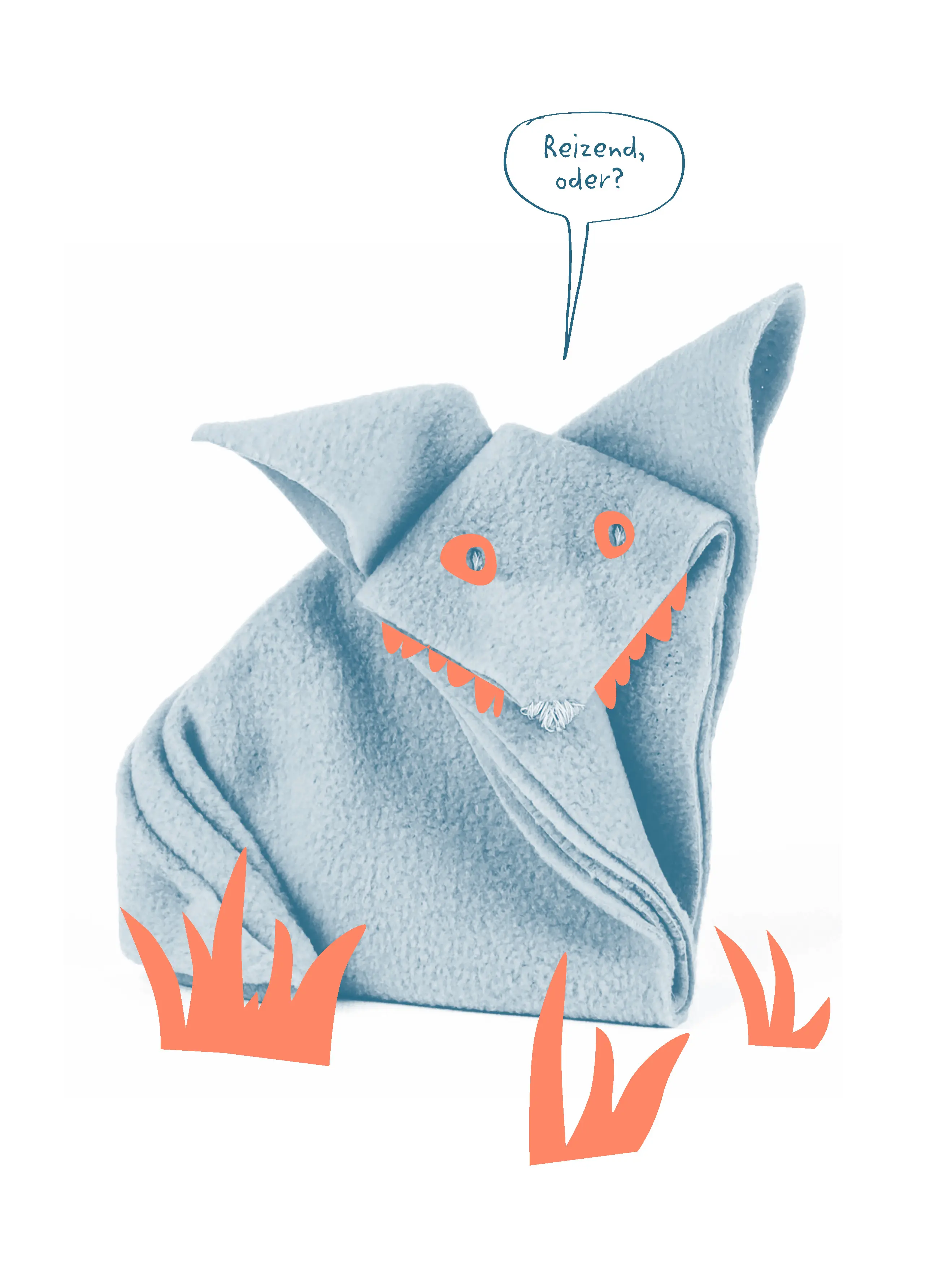 043_Meyer_Chaosbuch_9783258603049_(c)Henrike Meyer und Eva Kretschmer