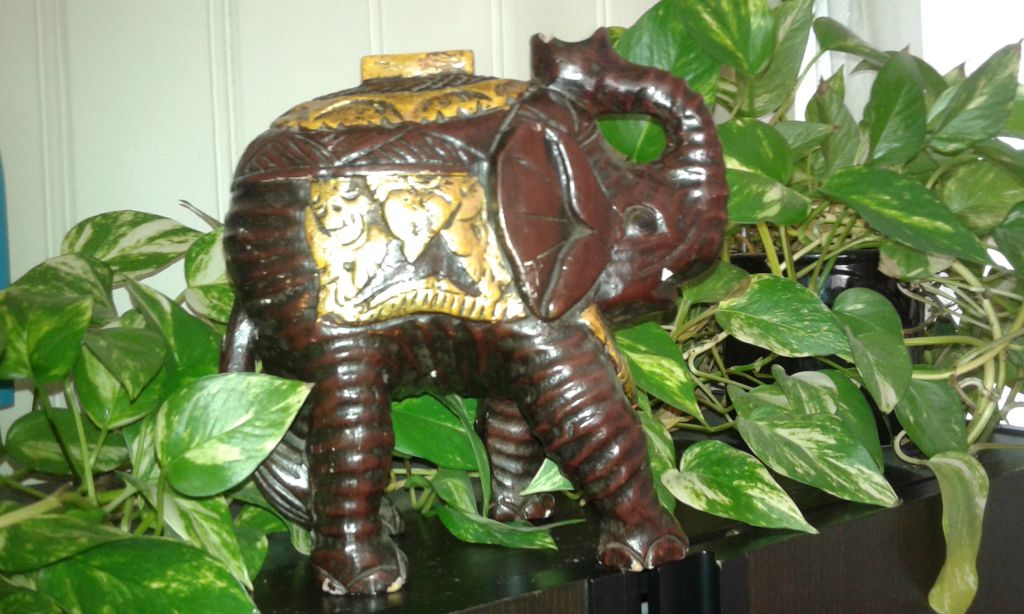 elefant