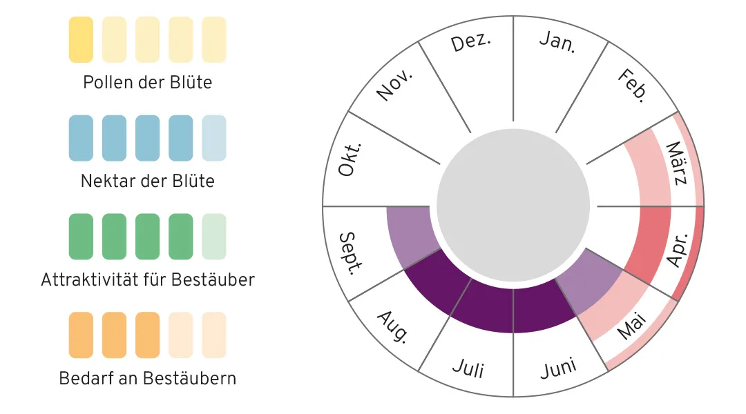 9783258084268_Nutzpflanzen_Seite38