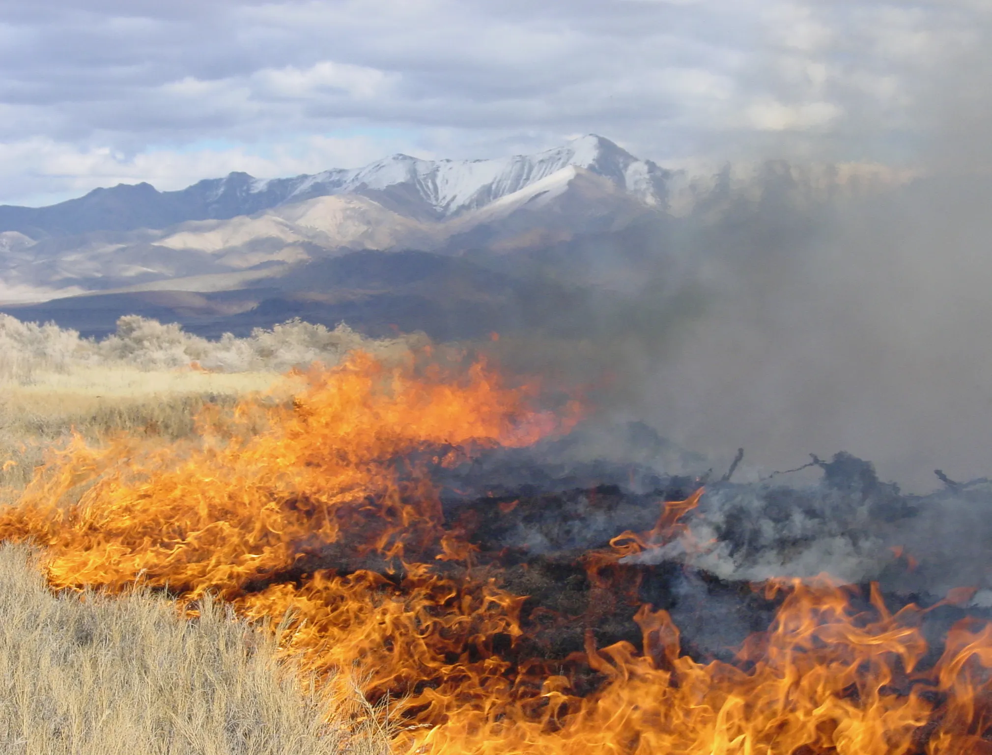 026_Pyne_Feuer_9783258084114_(c)u.s. Fish und Wildlife Service_John Wood-rgb