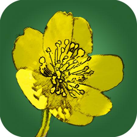 Feldbotanik App 