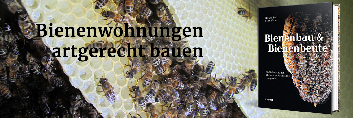 Bienenbau